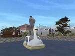0801swansheight01.jpg