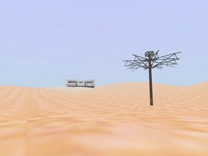 0803saharaSS01.jpg