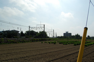 0708fukigyo01.JPG
