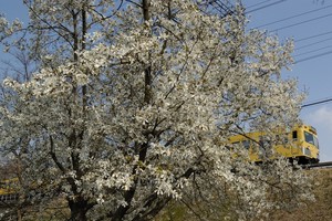 0803seibu09.jpg
