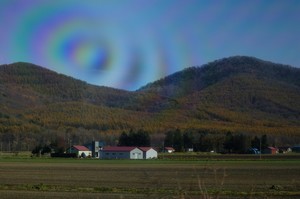 0910nemuhon_a01.jpg