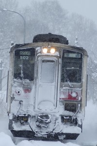 1101rumoi_a_07.jpg